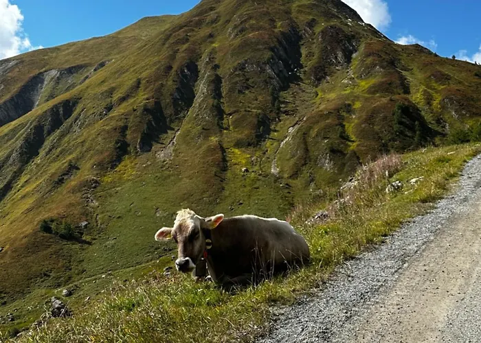 Jil-marie 7 아파트 삼나운